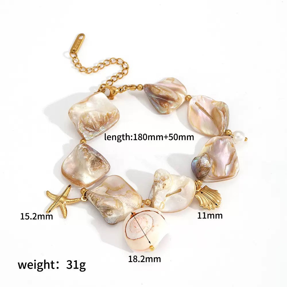Natural shell starfish set