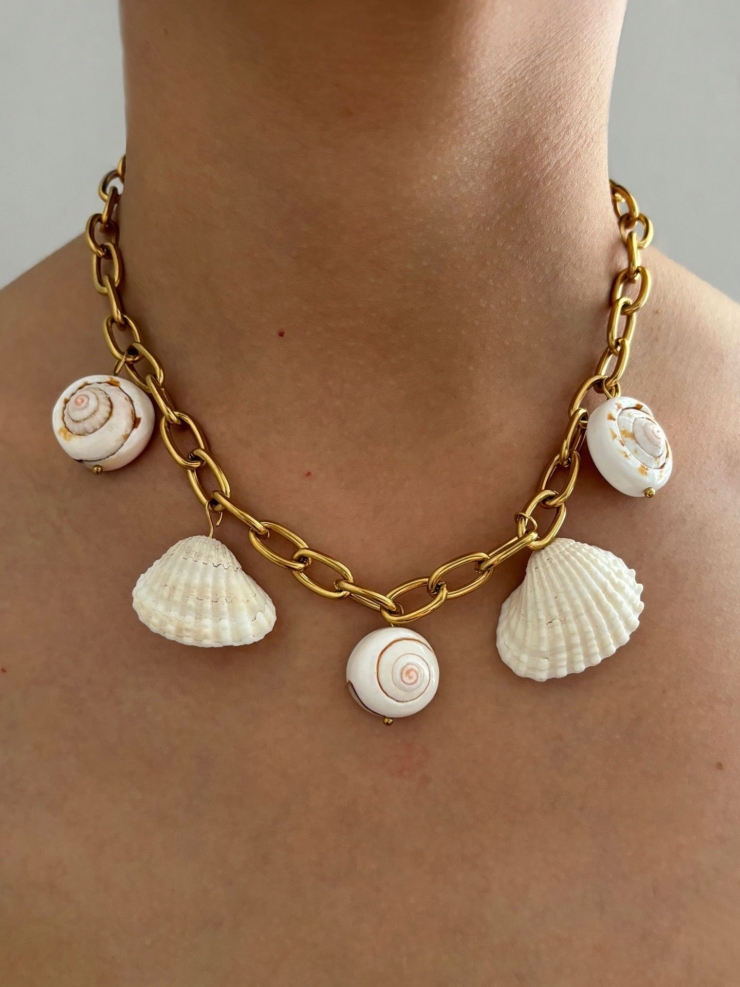 Natural shell charm necklace