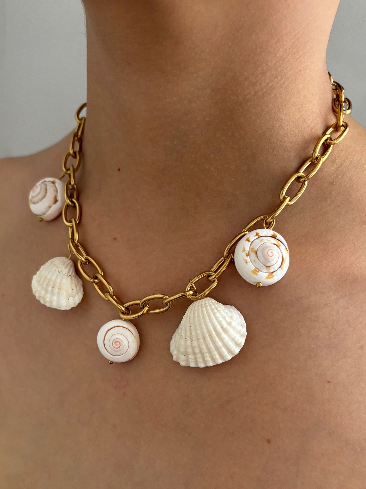 Natural shell charm necklace