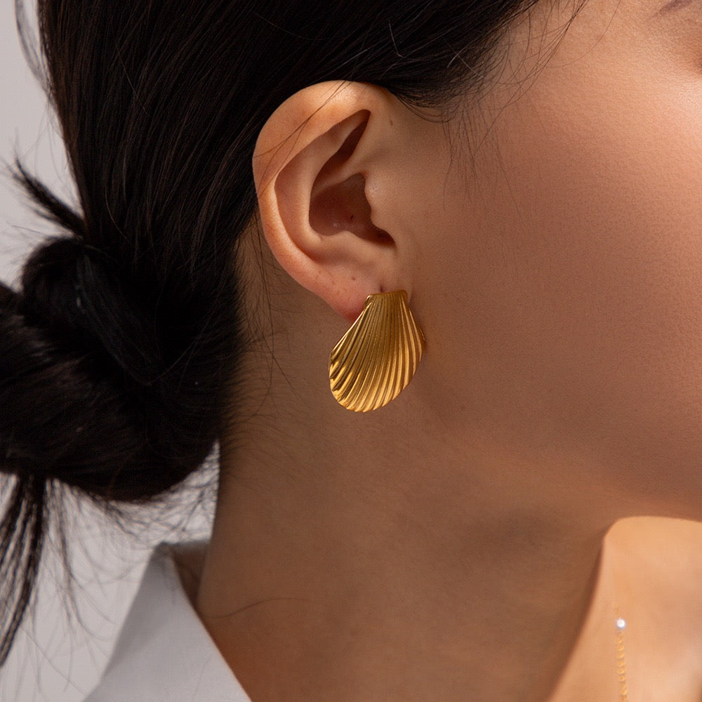 Classic shell earrings