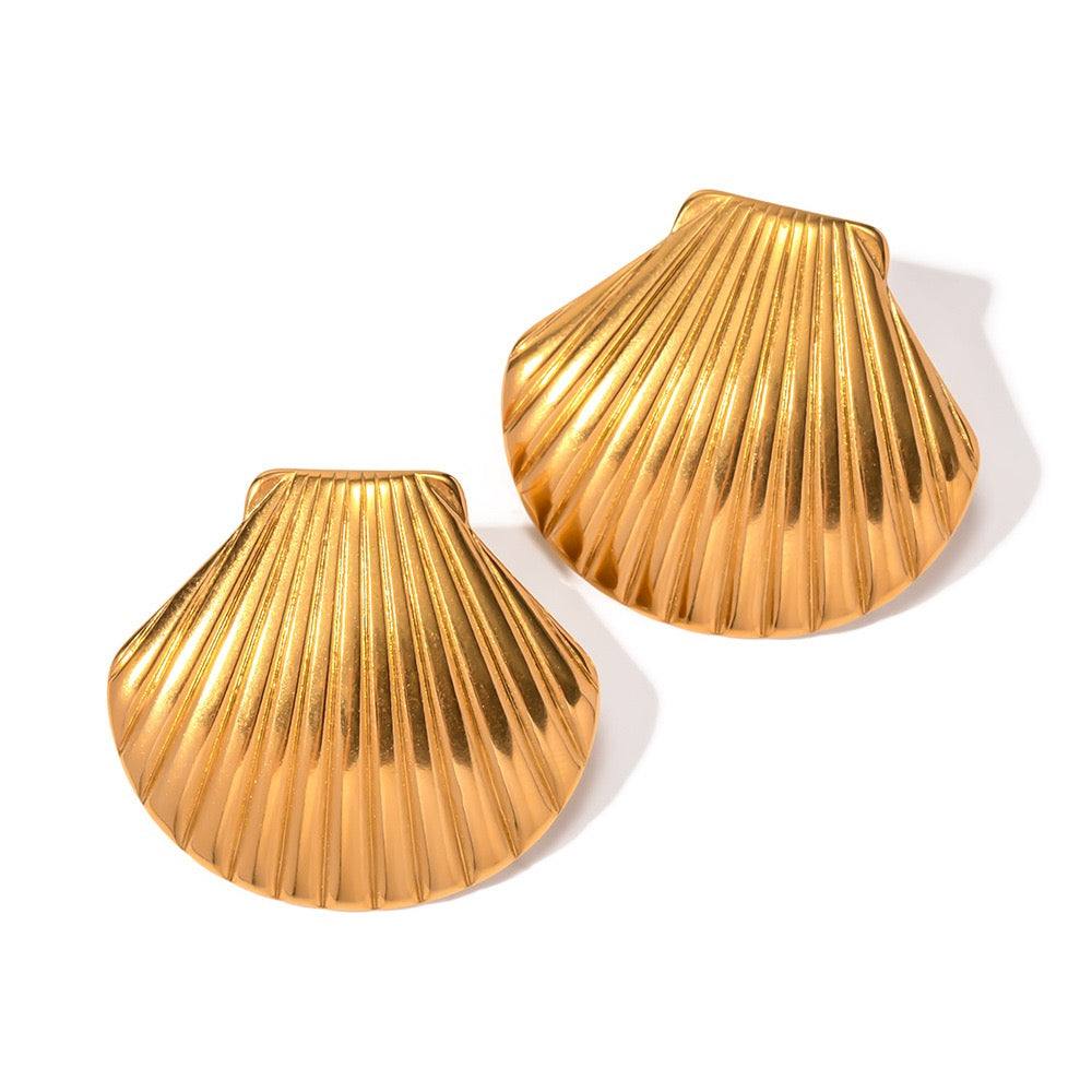 Classic shell earrings