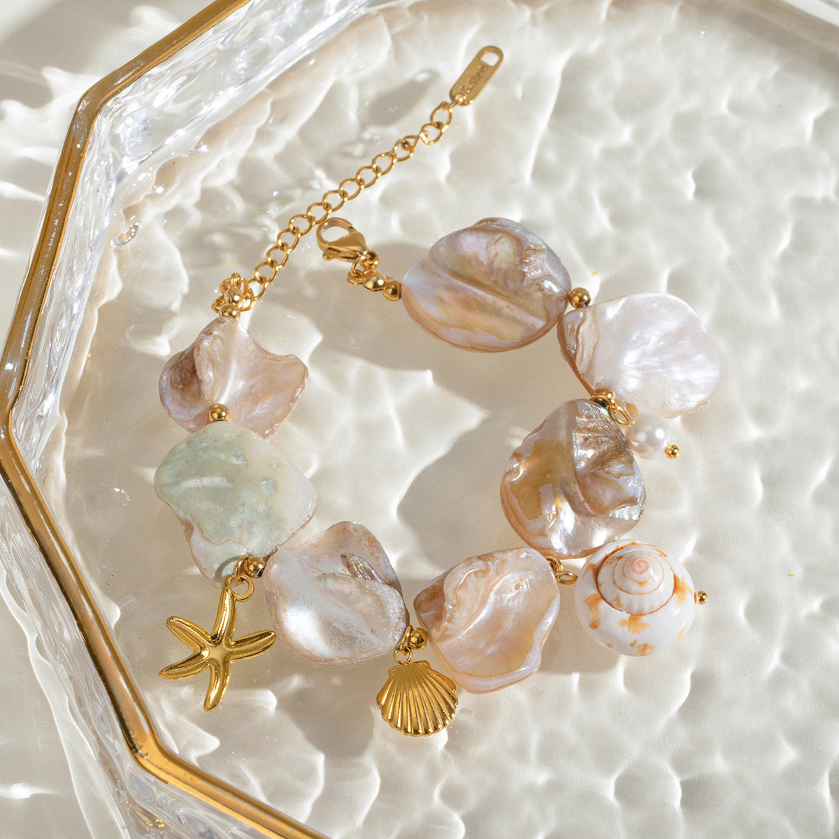 Lewes Natural shell collections