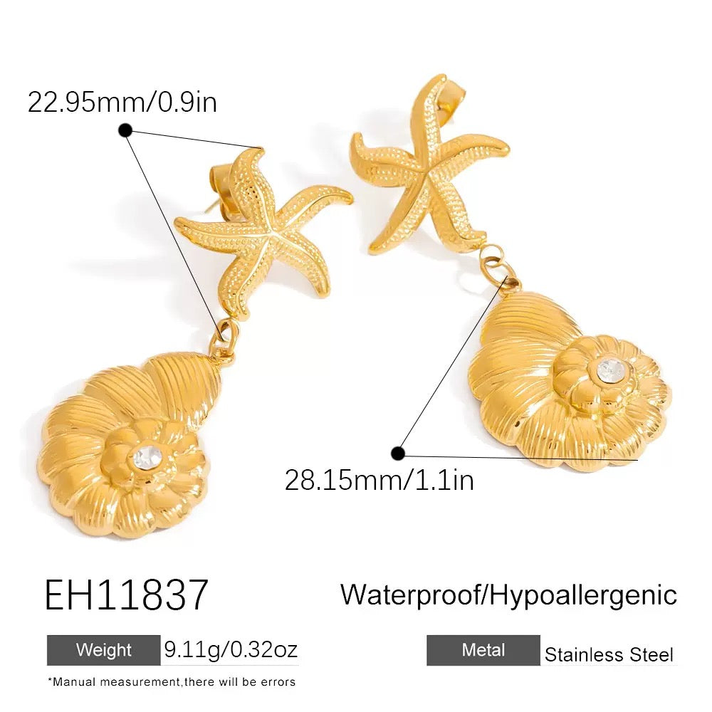 Starfish shell earrings