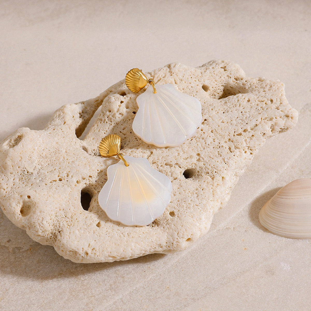 Natural shell earrings