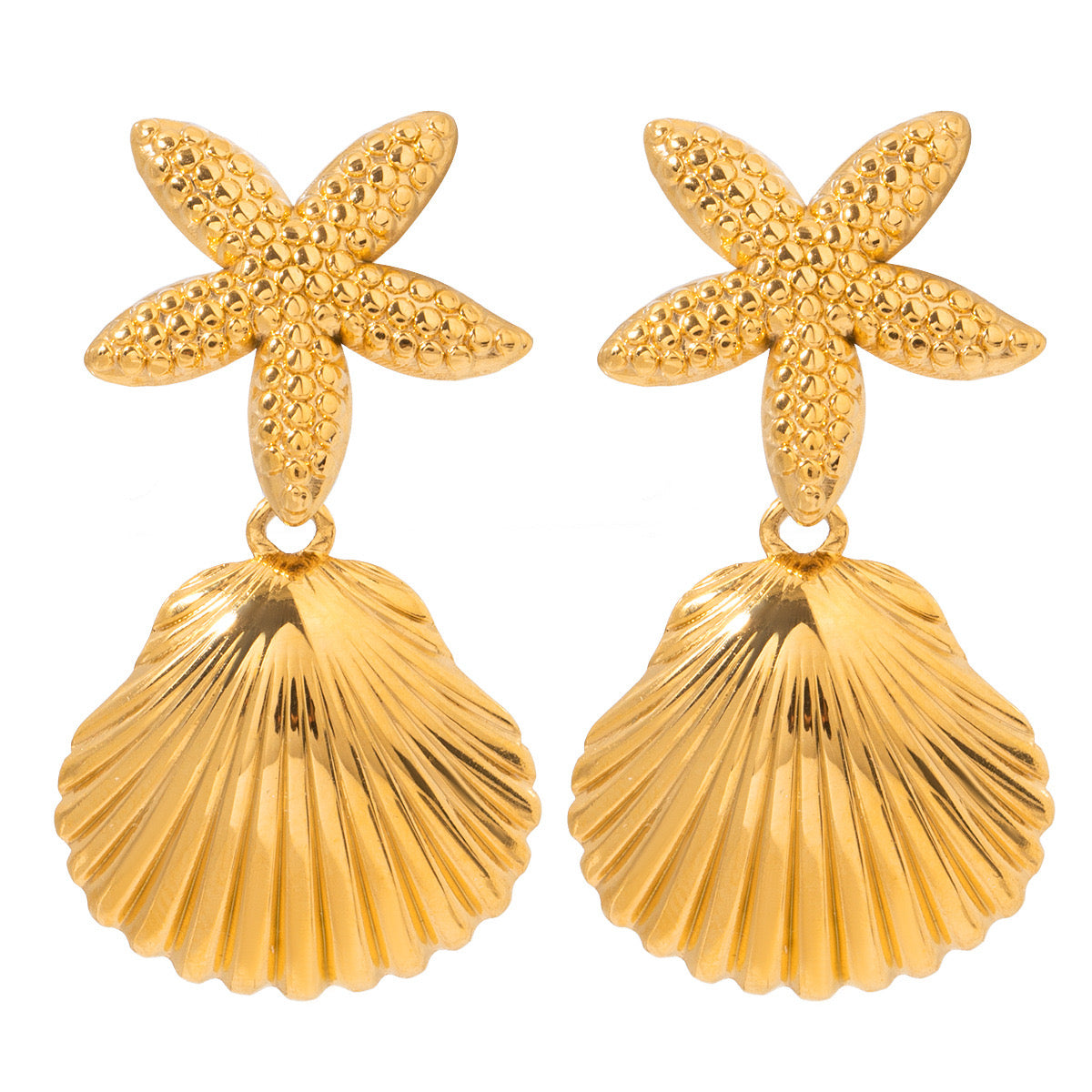 Cylina Bondi star shell earrings