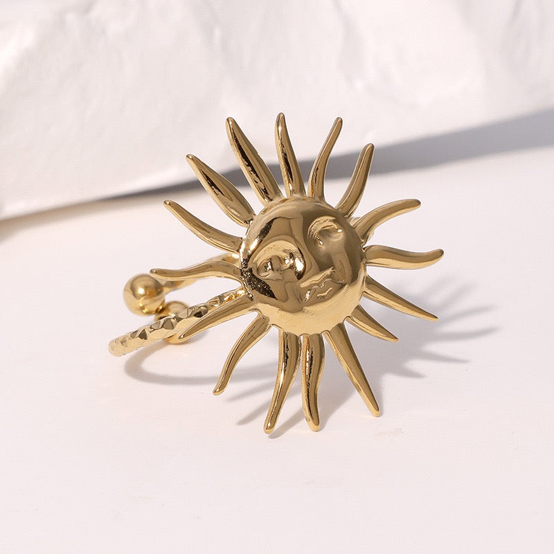 Mr Sun rings
