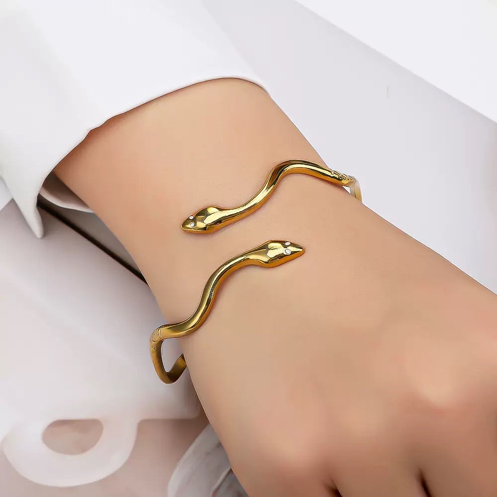 Perch double snake bangle