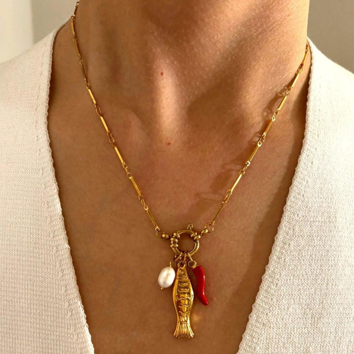 Red coral fish collections