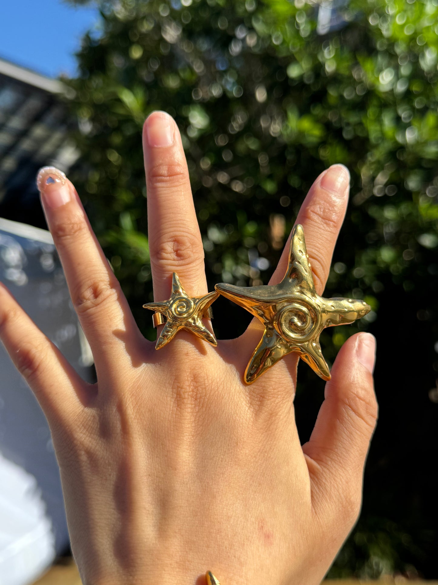 Teresa swirl star collections