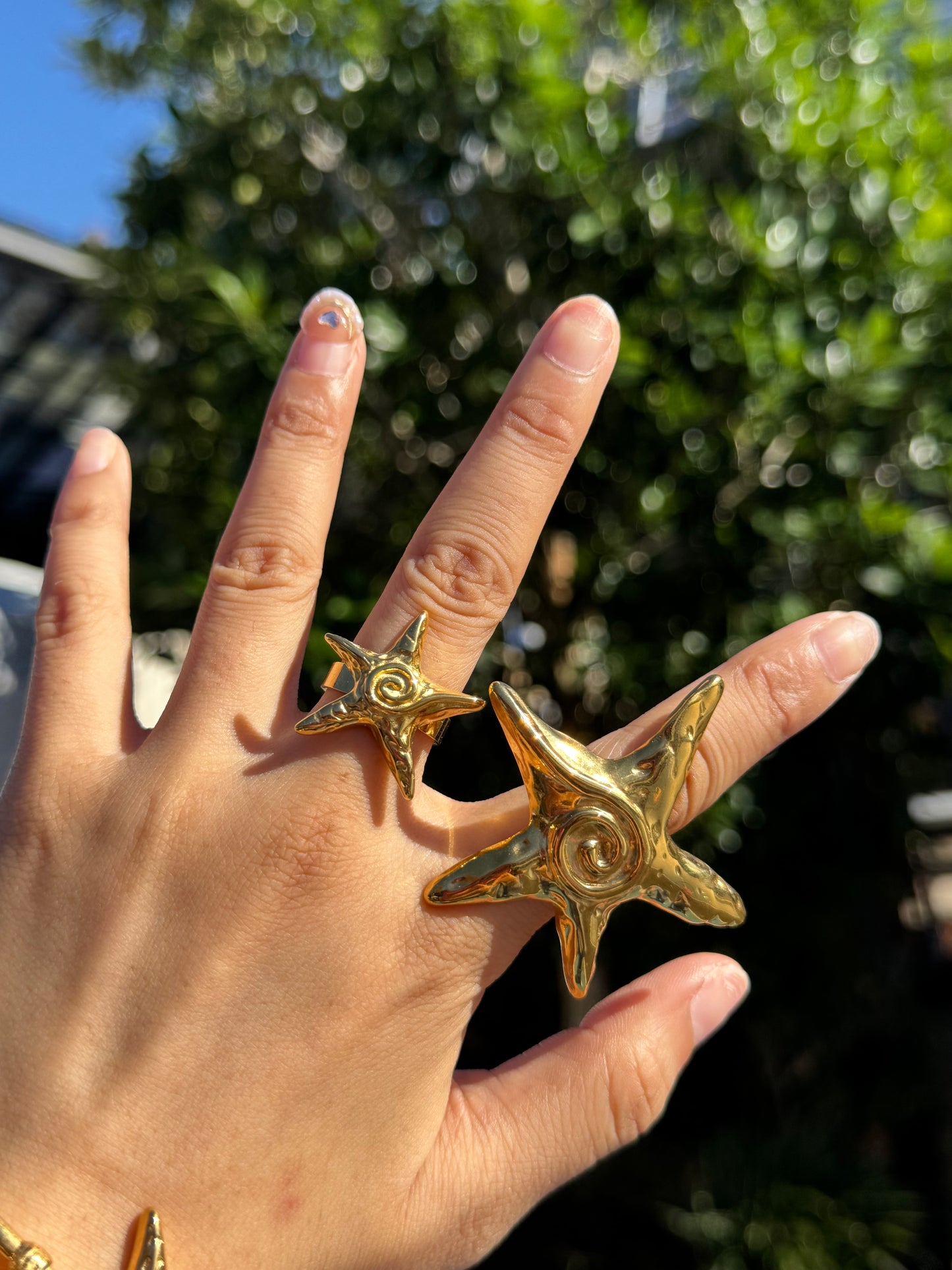 Teresa swirl star collections