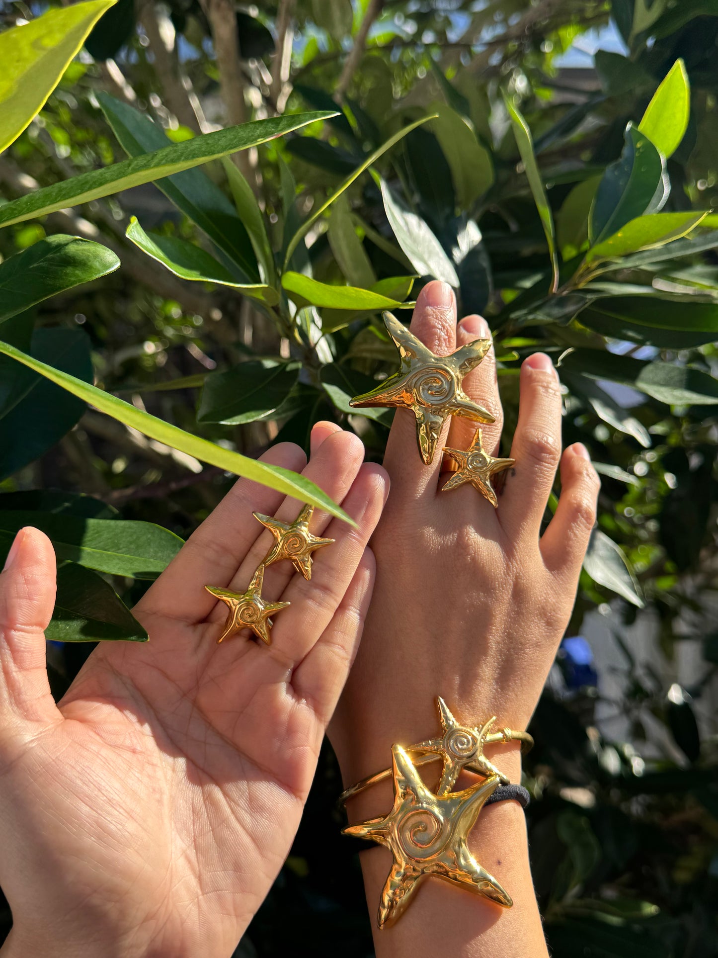 Teresa swirl star collections