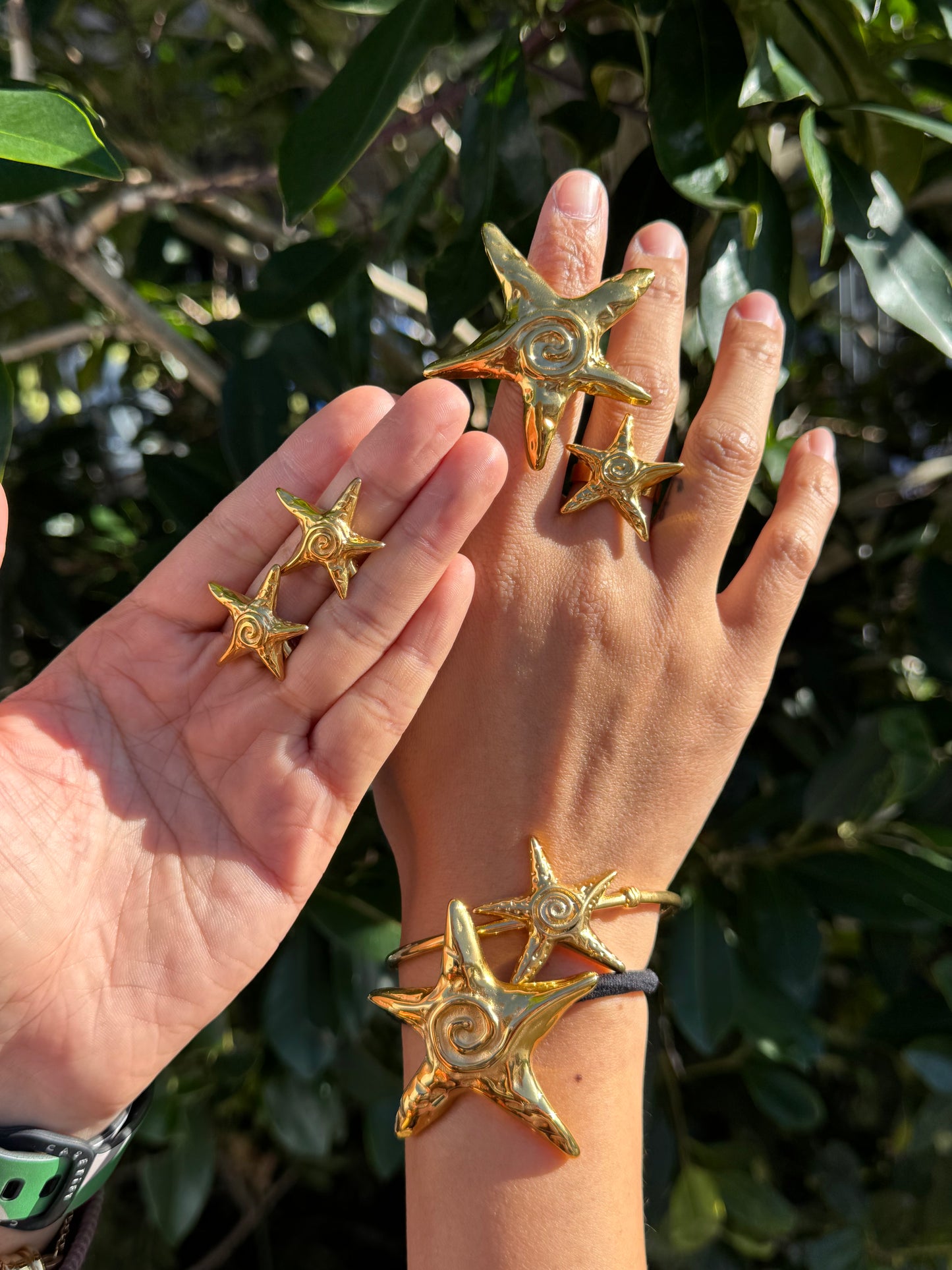 Teresa swirl star collections