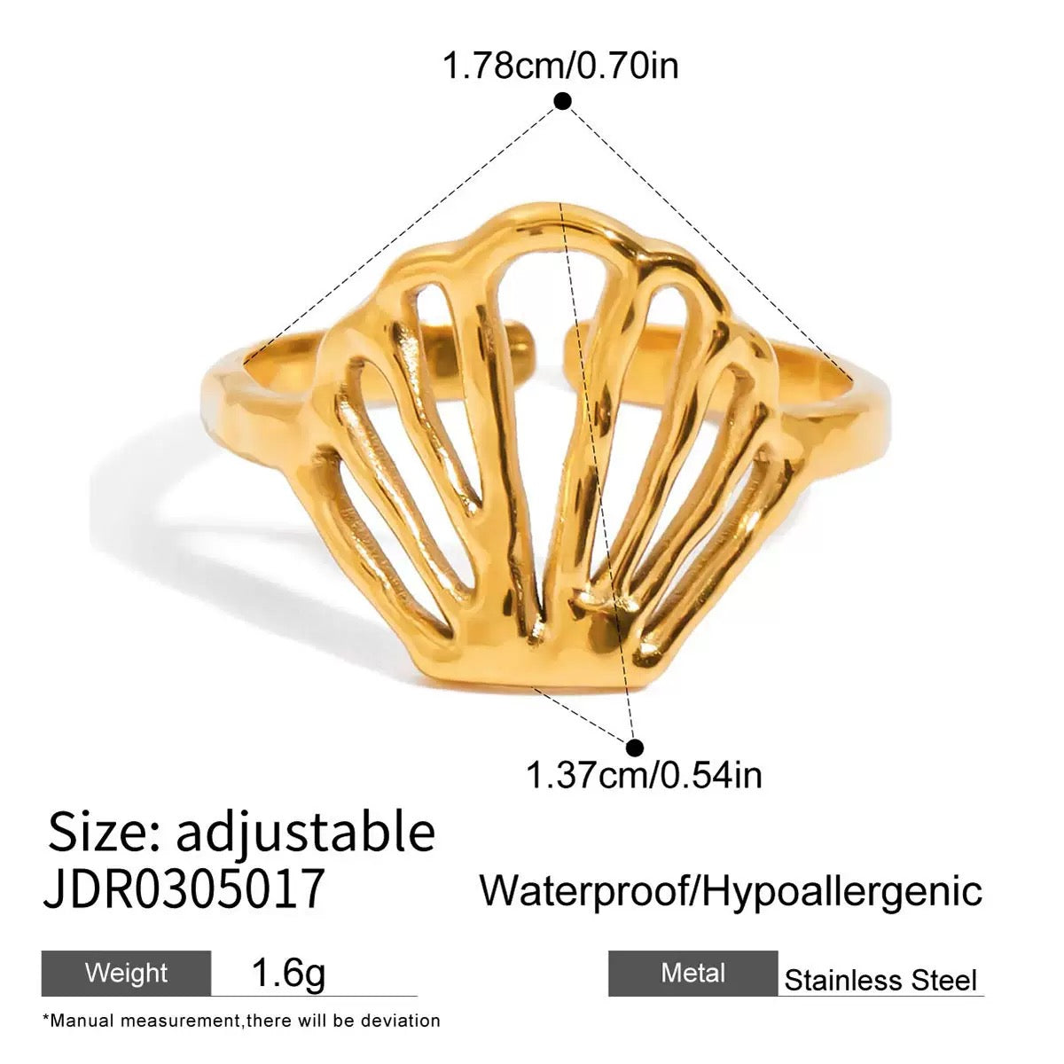 Bondi starfish and shell collection