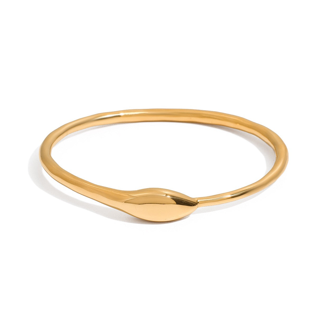 Snake close band bangle