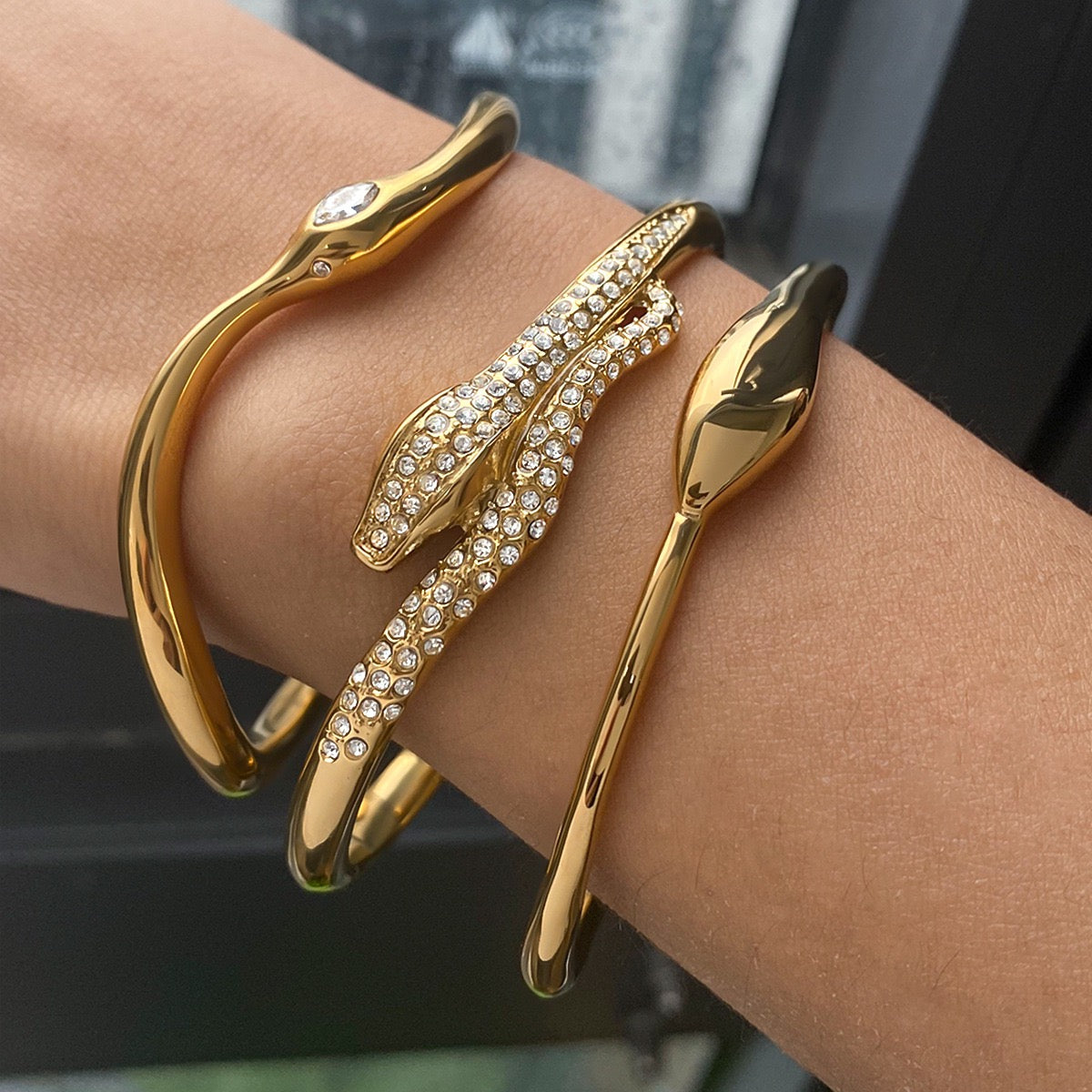 Snake close band bangle